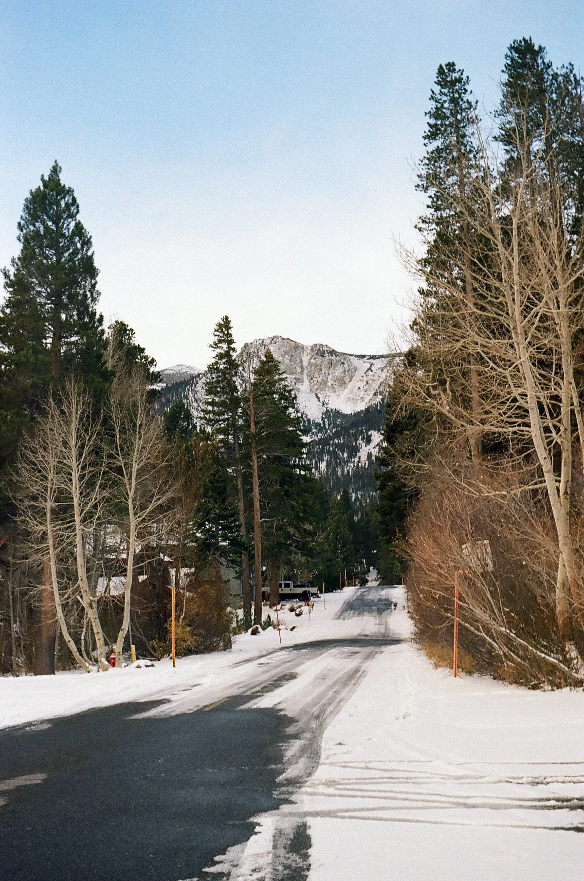 Film photograph 04 — Thomas Beach