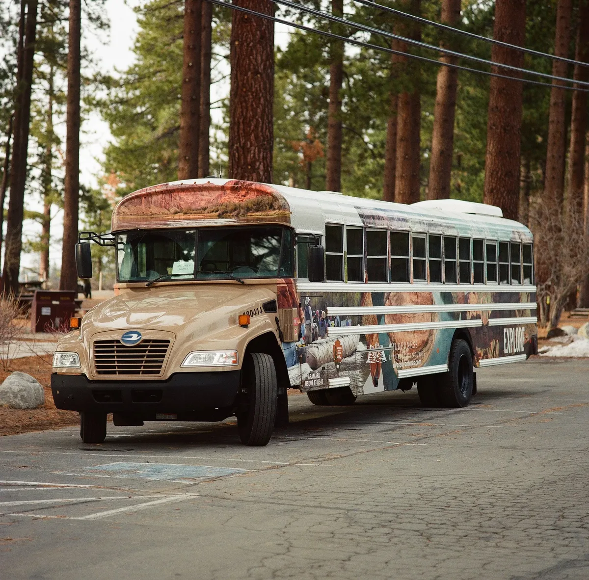 Film photograph 06 — Thomas Beach