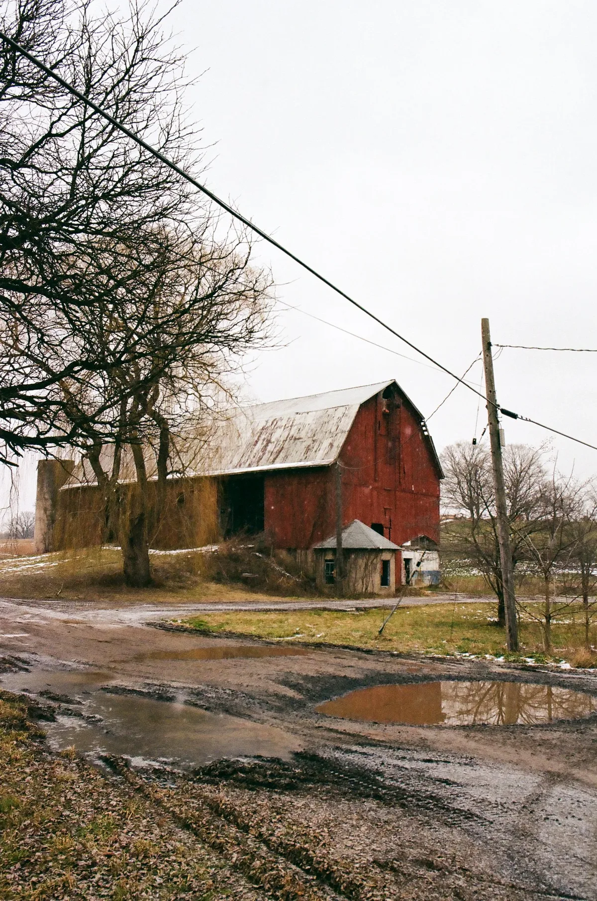 Film photograph 32 — Thomas Beach