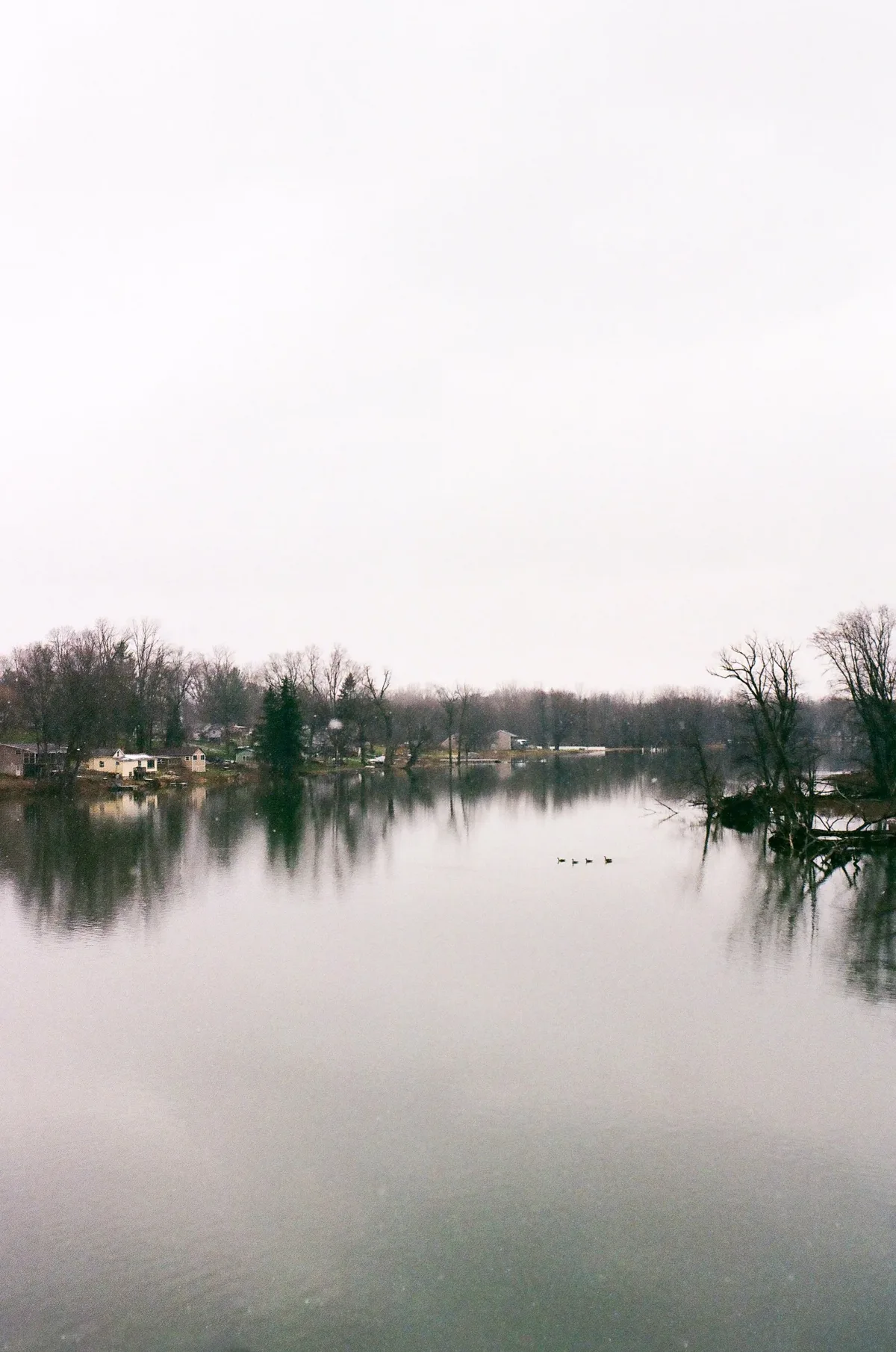 Film photograph 36 — Thomas Beach