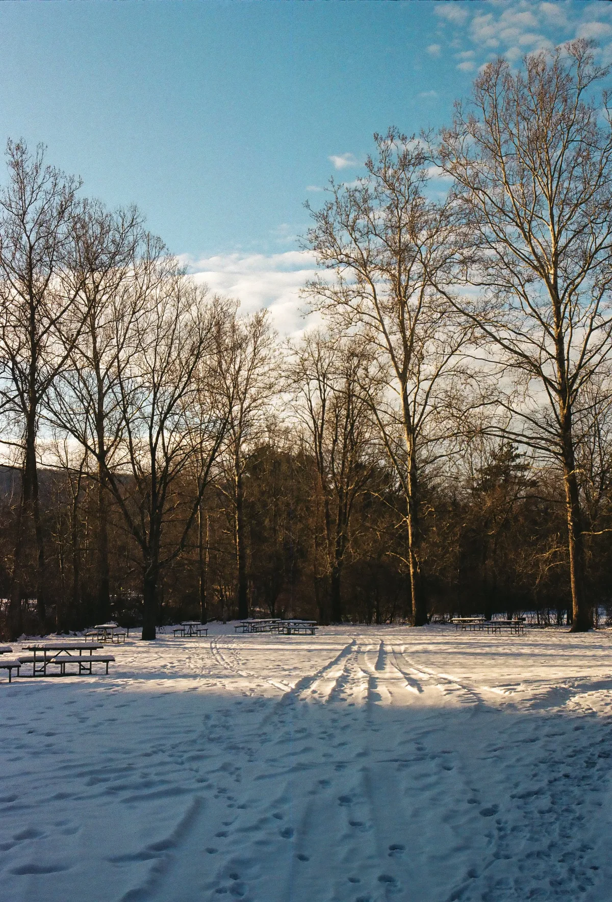 Film photograph 38 — Thomas Beach