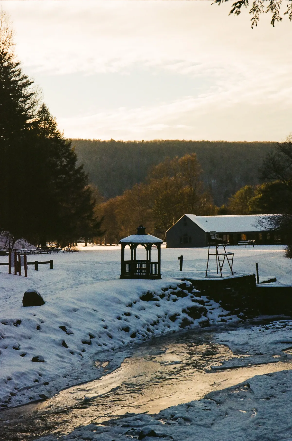 Film photograph 46 — Thomas Beach