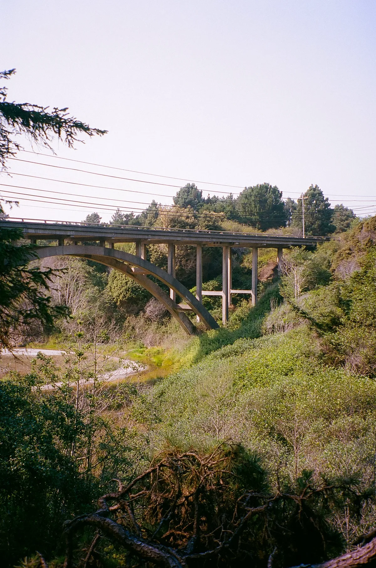 Film photograph 67 — Thomas Beach