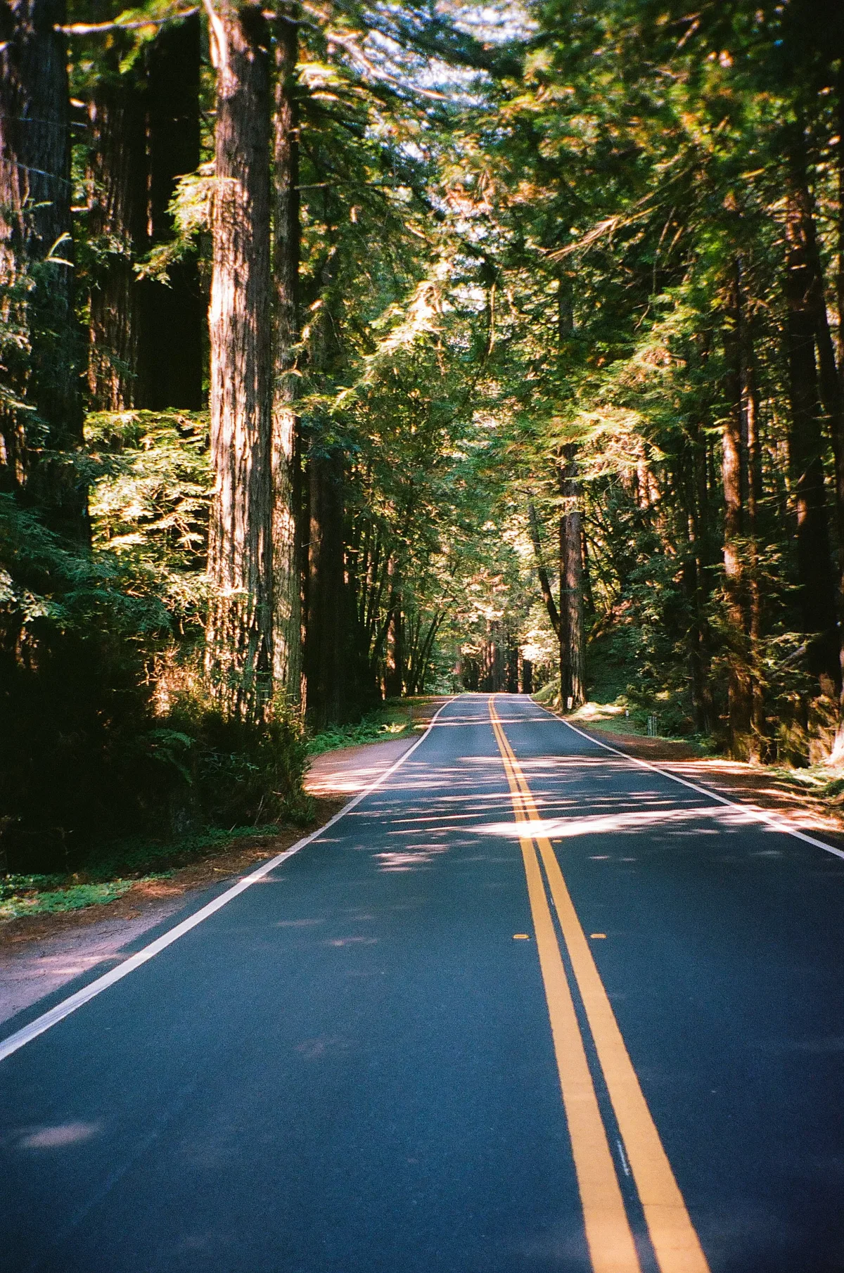 Film photograph 70 — Thomas Beach