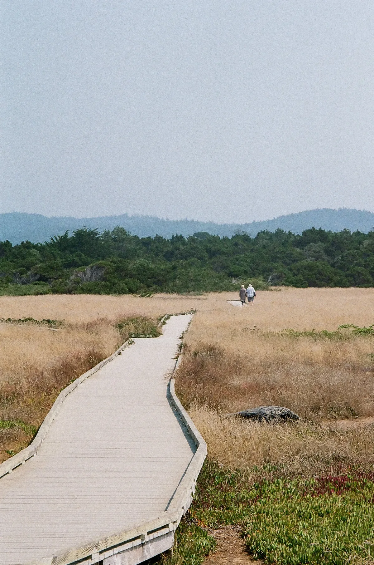 Film photograph 73 — Thomas Beach