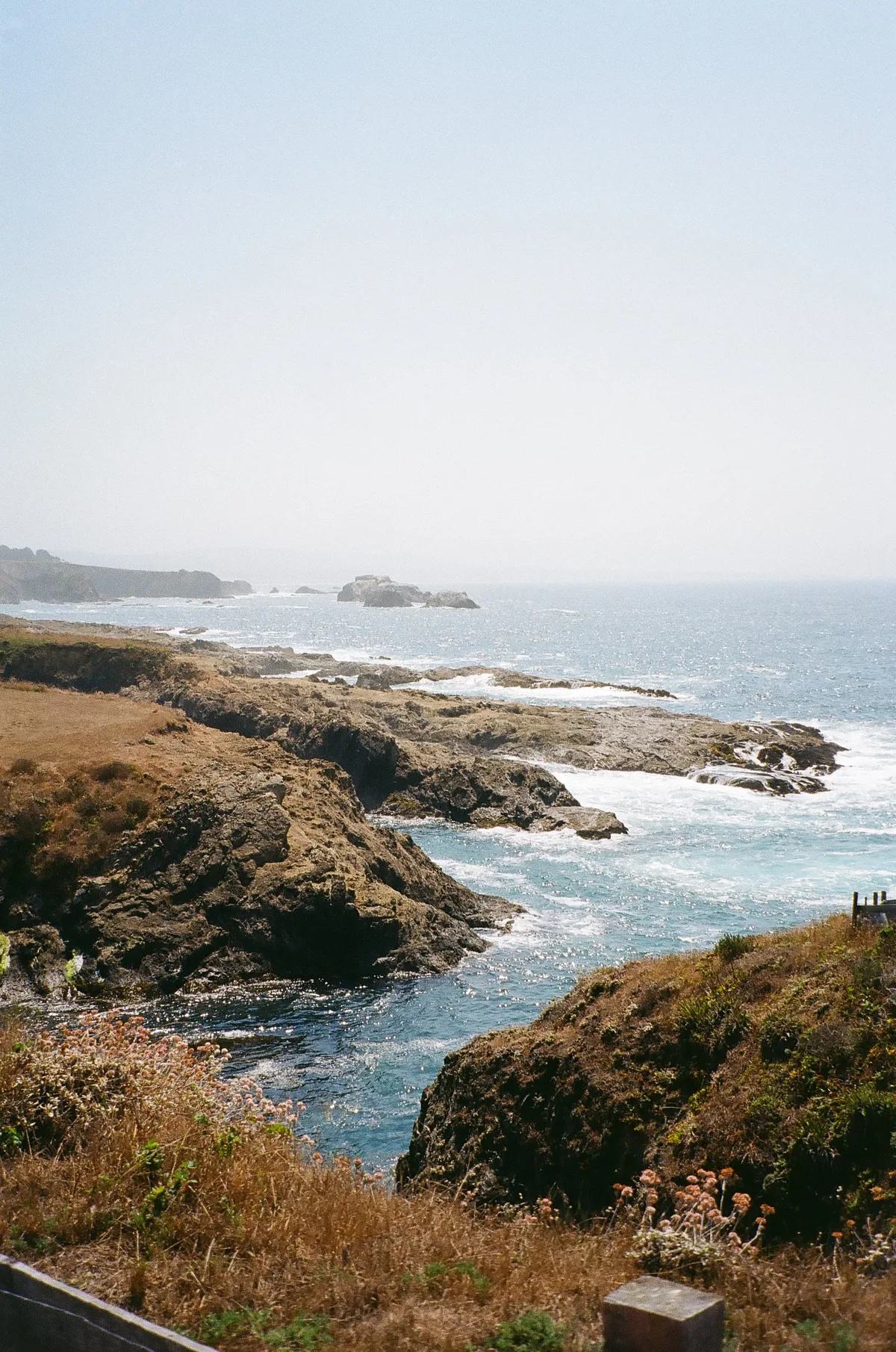 Film photograph 76 — Thomas Beach