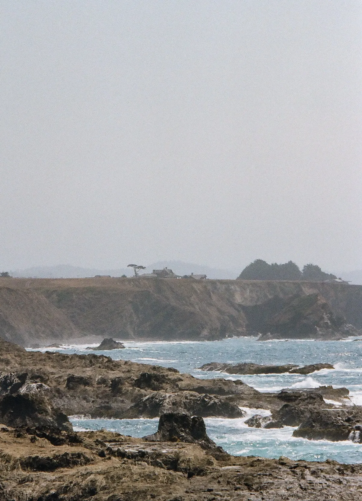 Film photograph 81 — Thomas Beach