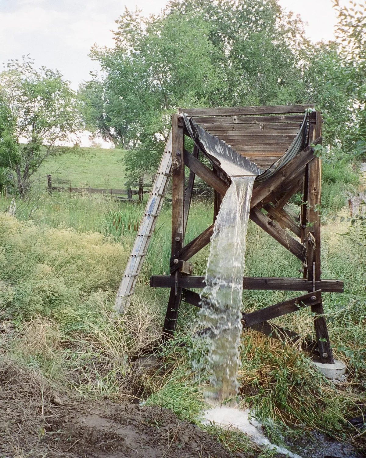 Film photograph 90 — Thomas Beach