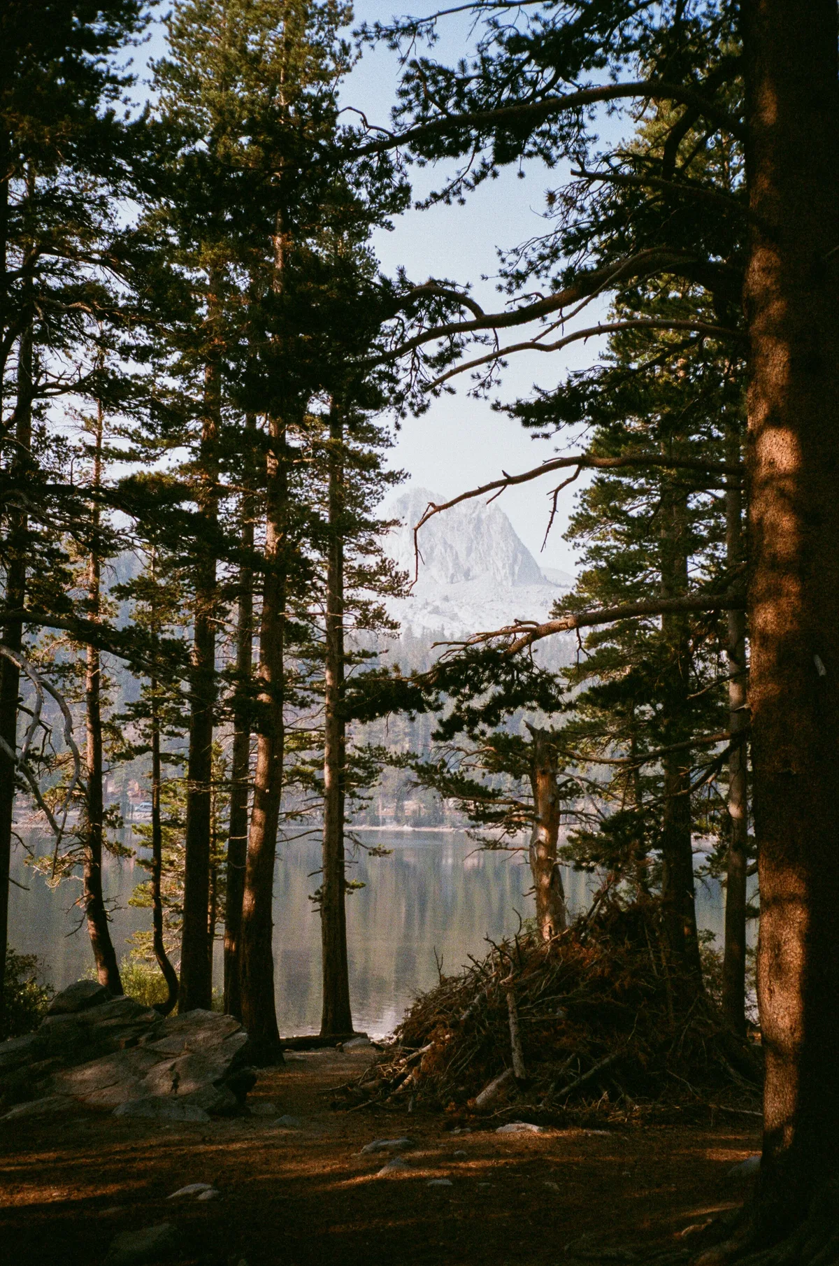 Film photograph 91 — Thomas Beach