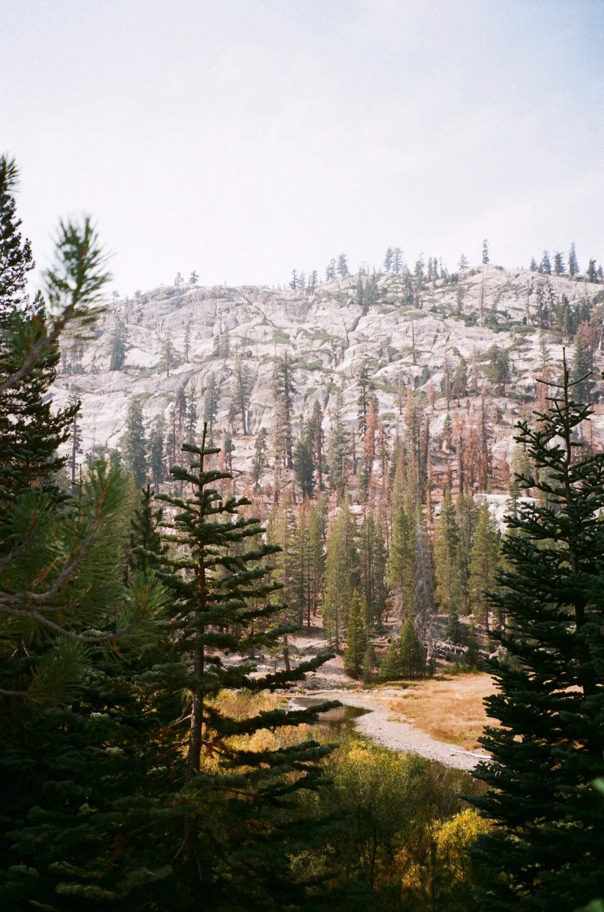 Film photograph 97 — Thomas Beach