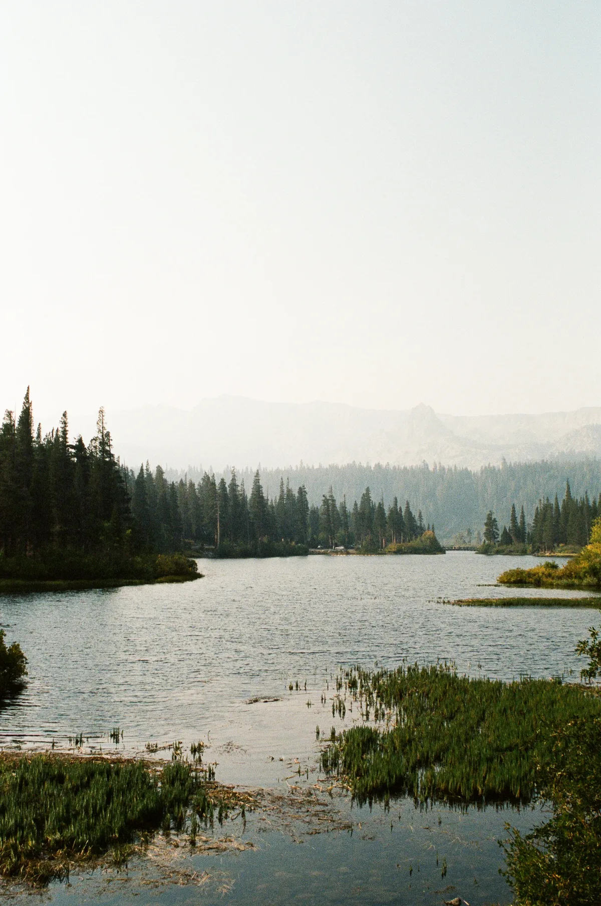 Film photograph 98 — Thomas Beach