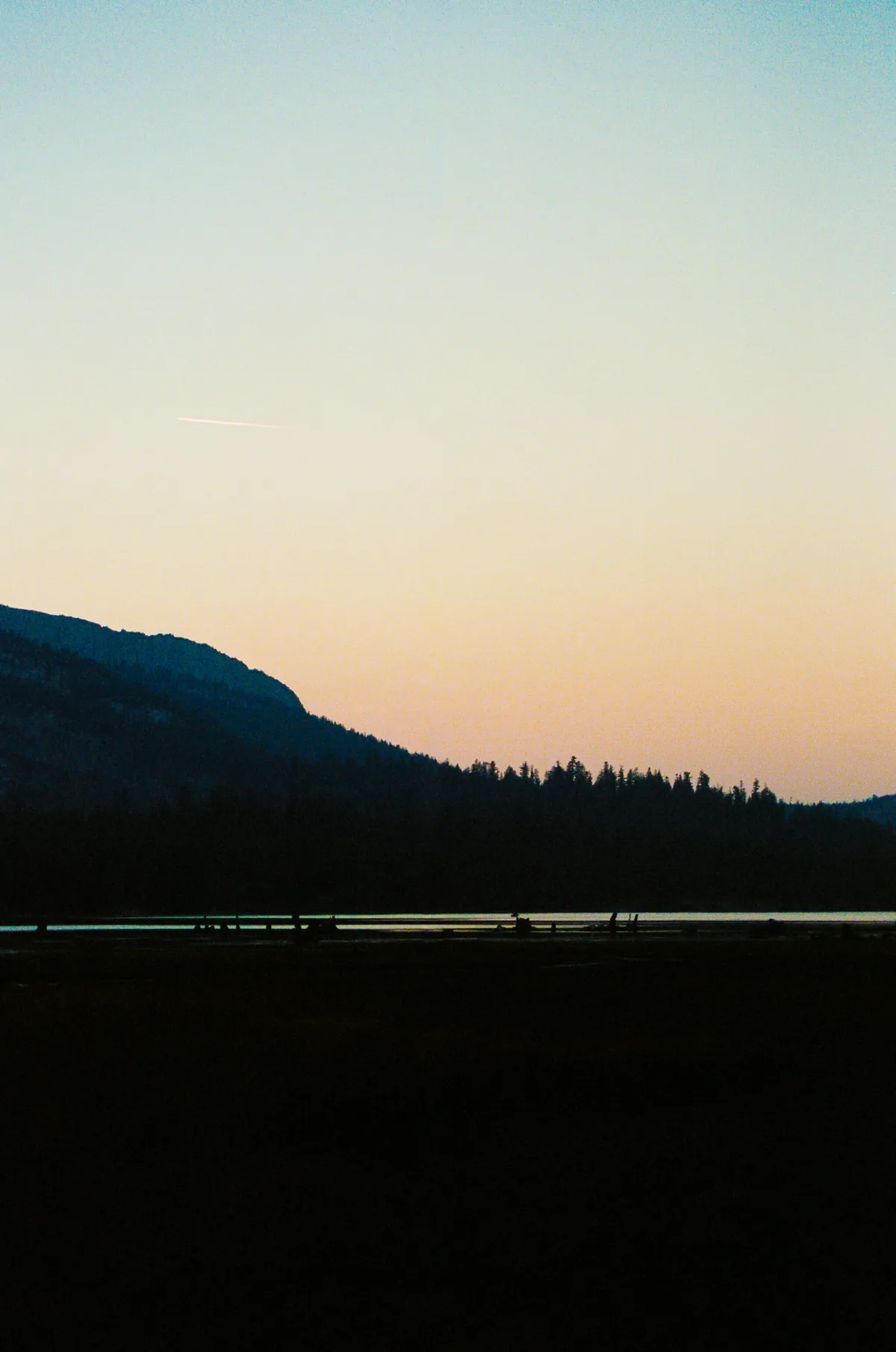 Film photograph 100 — Thomas Beach