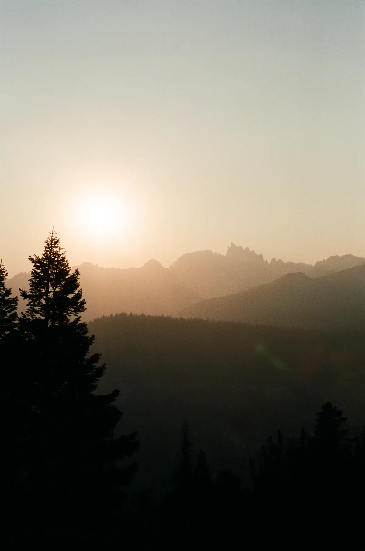 Film photograph 101 — Thomas Beach