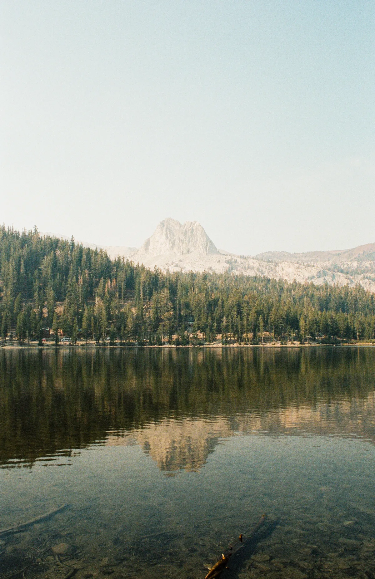 Film photograph 103 — Thomas Beach