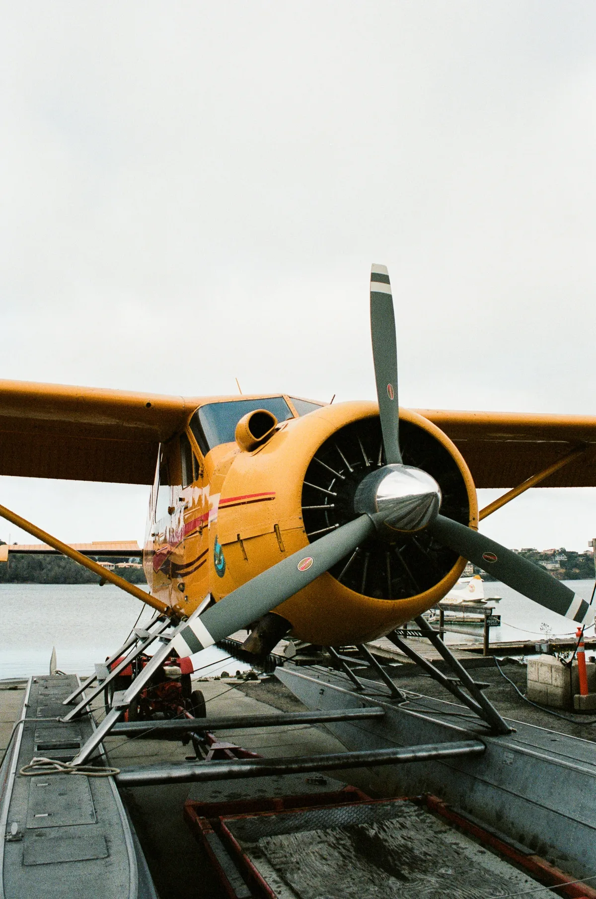 Film photograph 113 — Thomas Beach