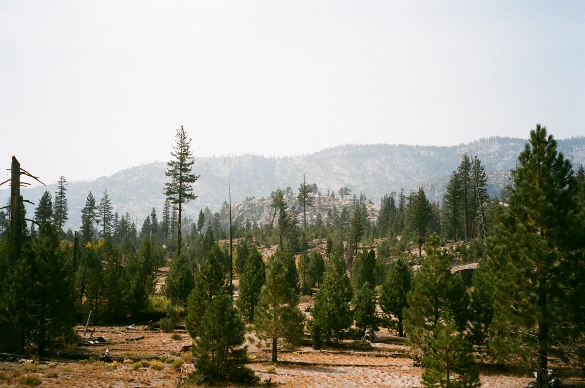 Film photograph 117 — Thomas Beach