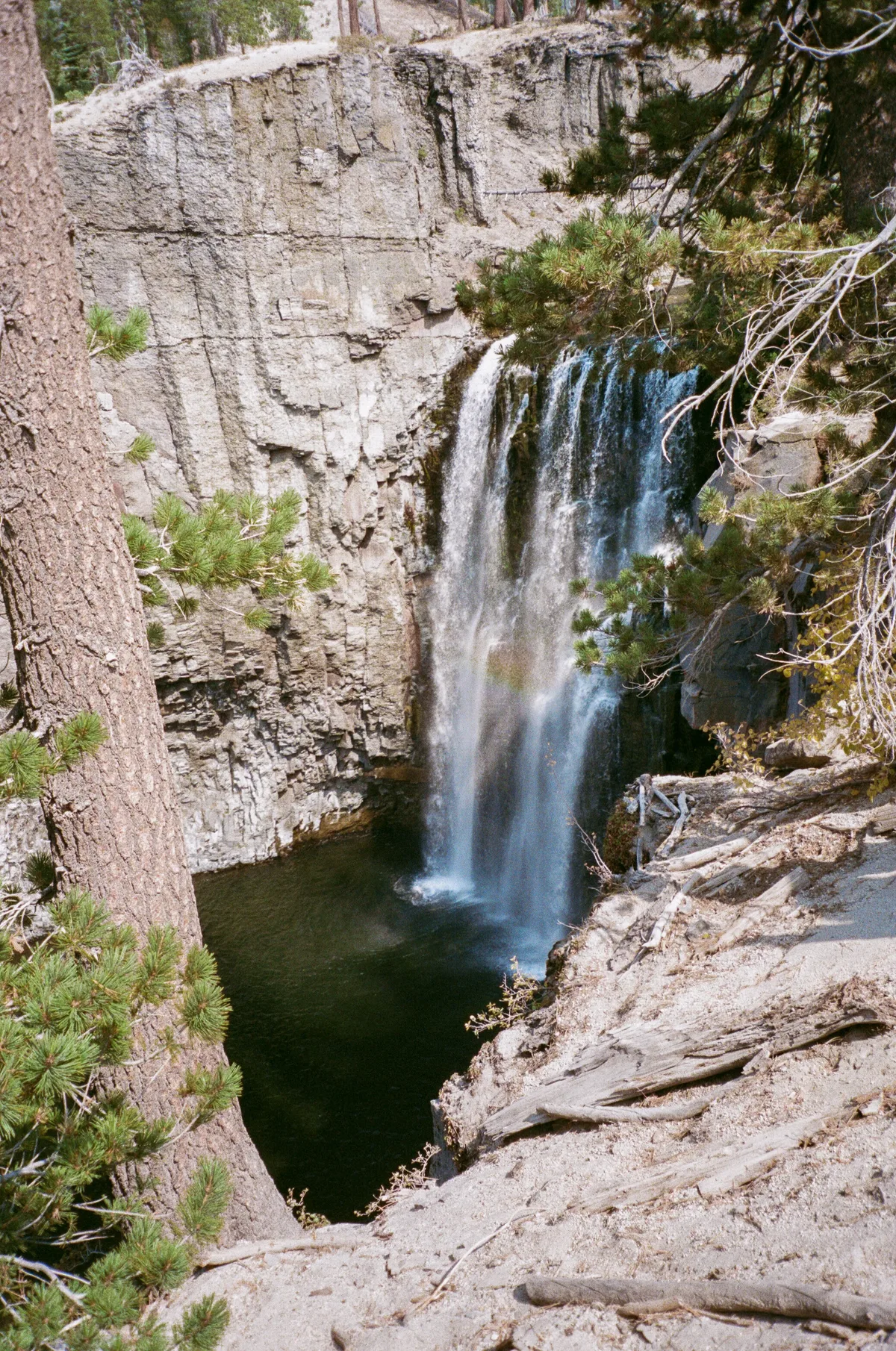 Film photograph 118 — Thomas Beach