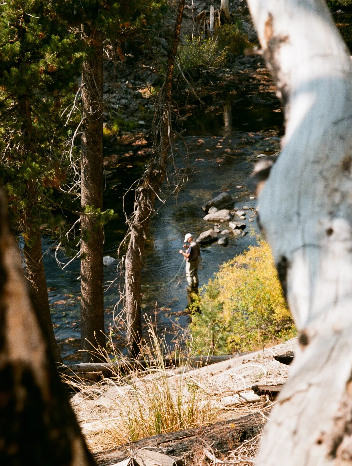 Film photograph 119 — Thomas Beach