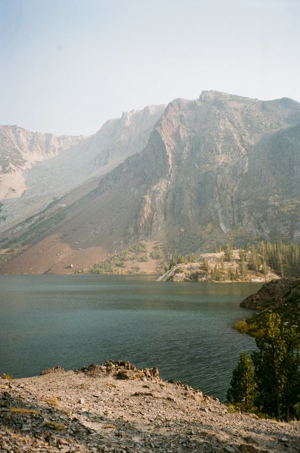 Film photograph 120 — Thomas Beach