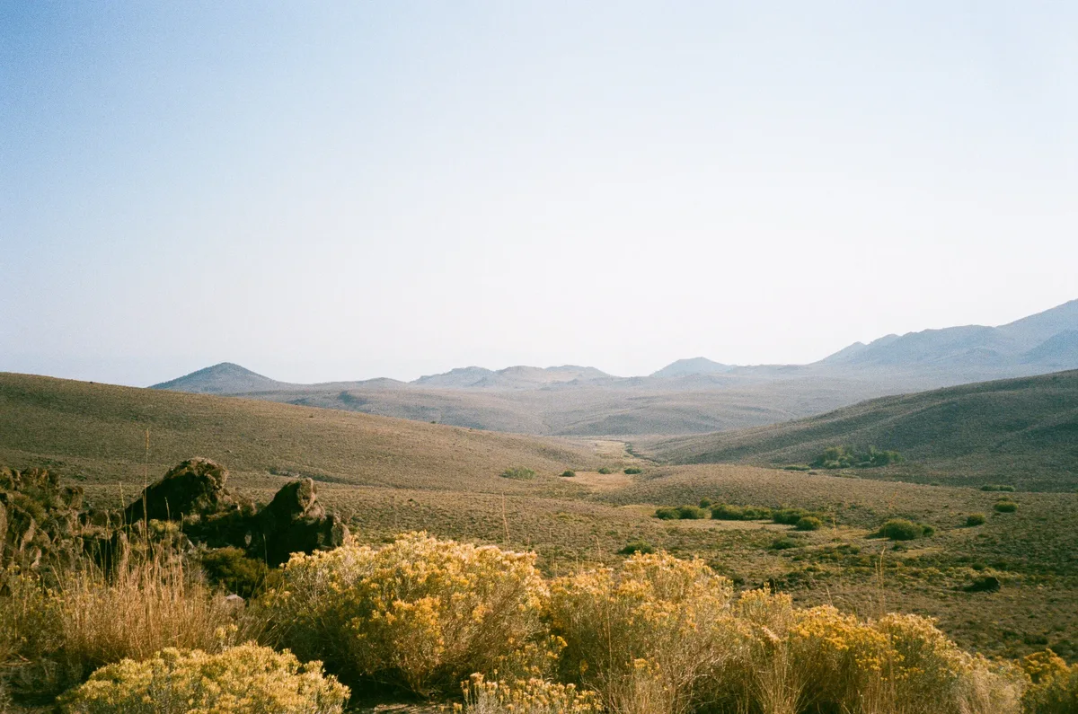 Film photograph 125 — Thomas Beach