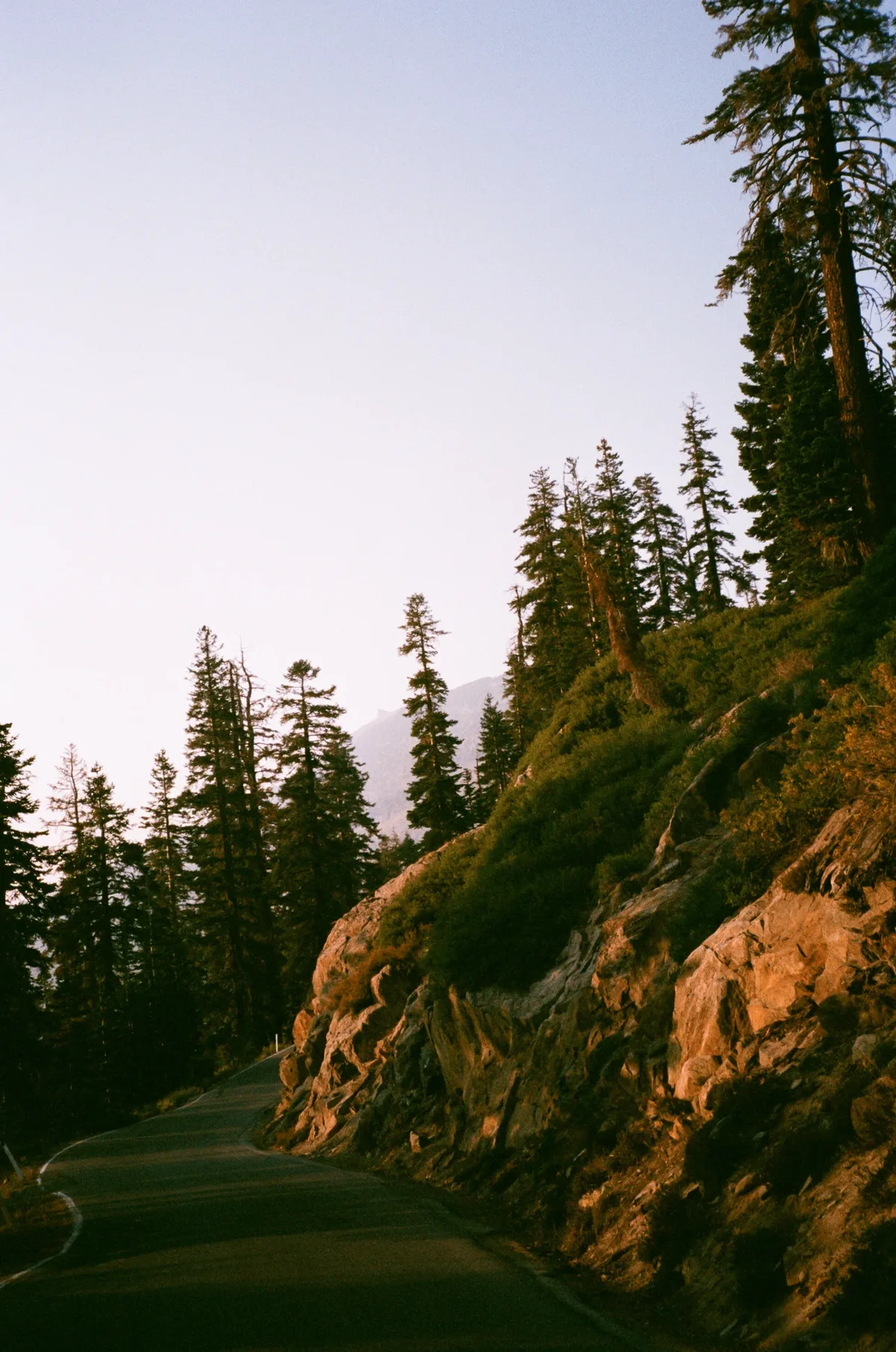 Film photograph 126 — Thomas Beach
