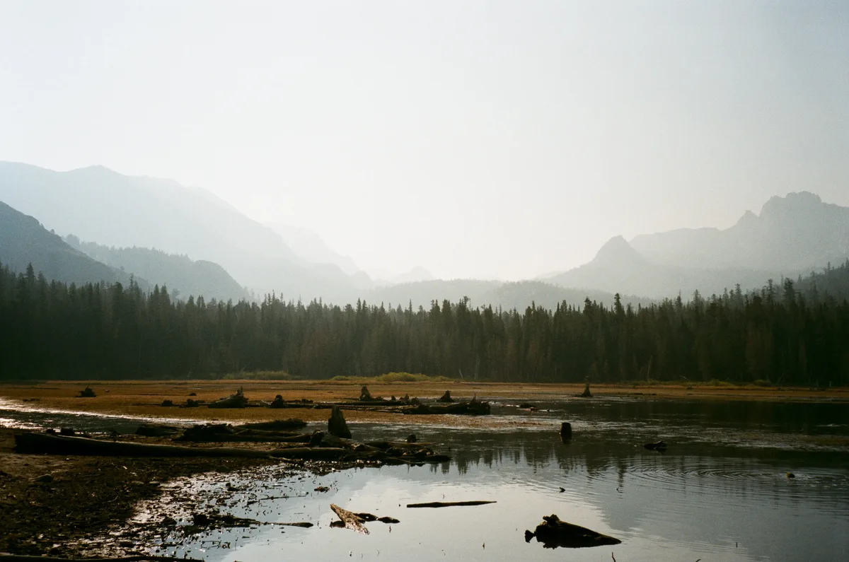 Film photograph 127 — Thomas Beach