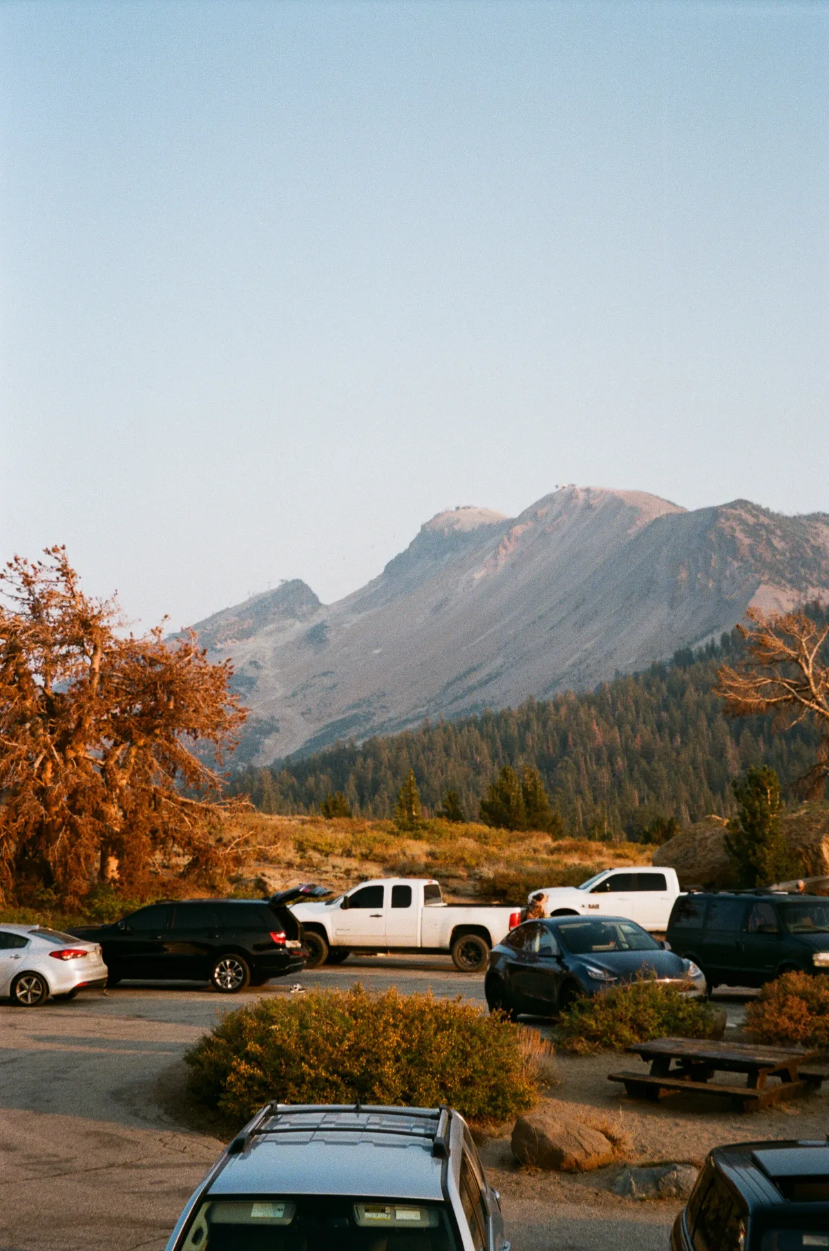 Film photograph 128 — Thomas Beach