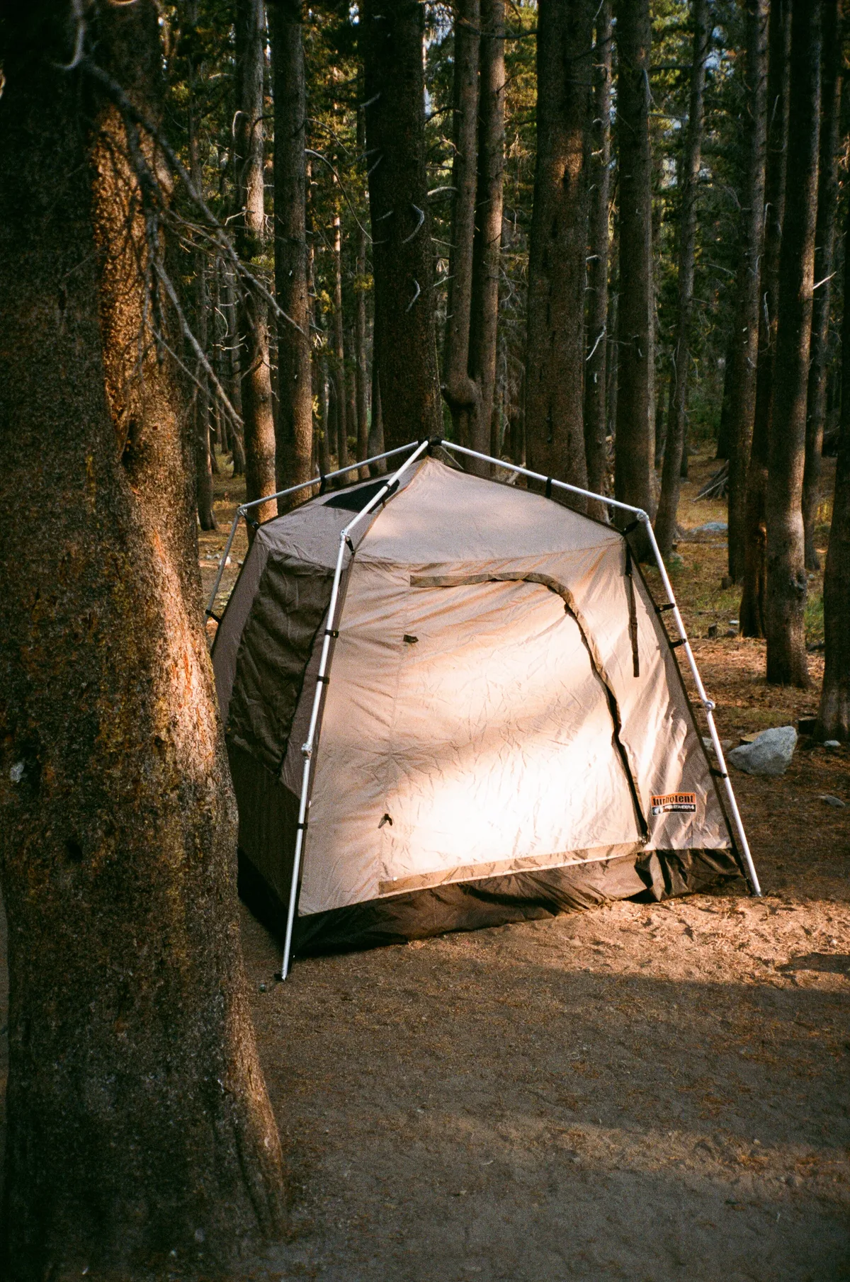 Film photograph 129 — Thomas Beach