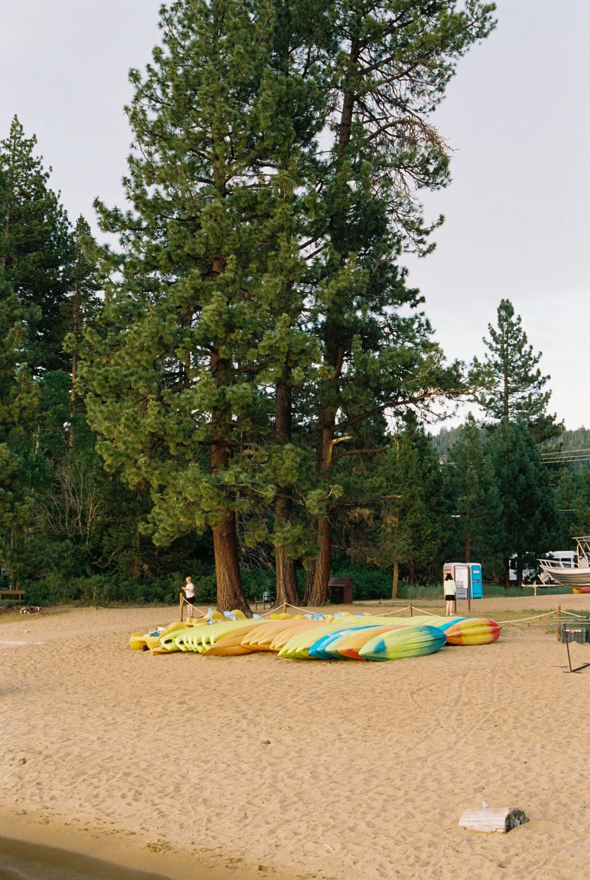 Film photograph 135 — Thomas Beach