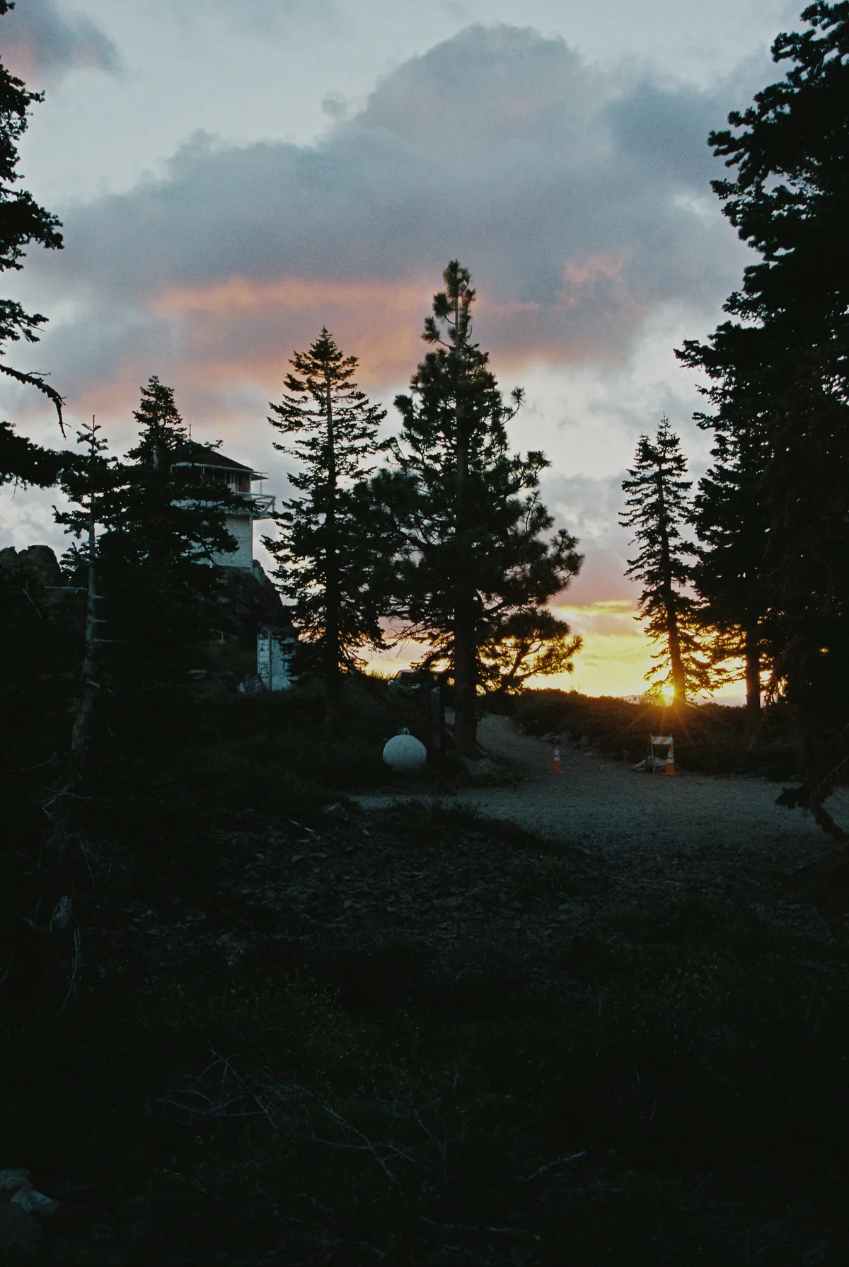 Film photograph 141 — Thomas Beach