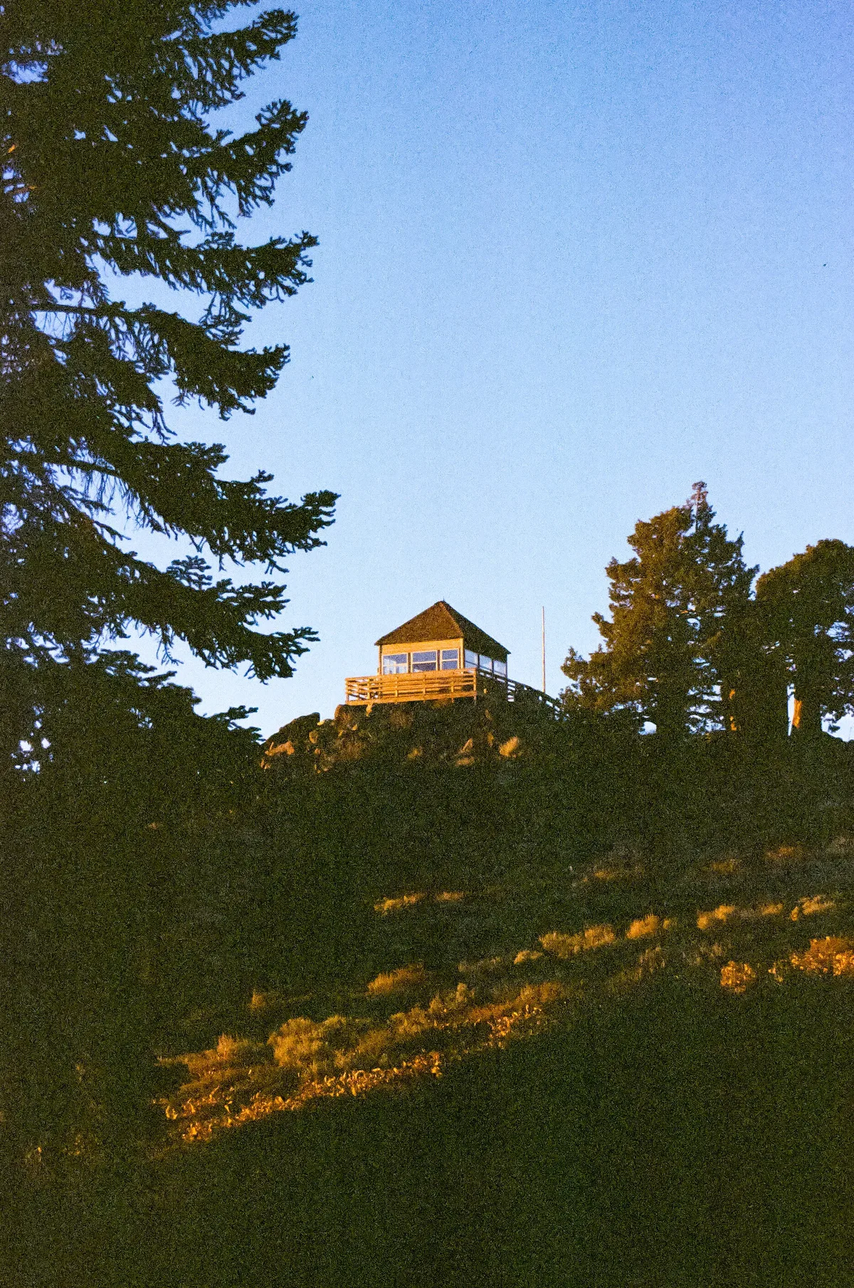 Film photograph 153 — Thomas Beach