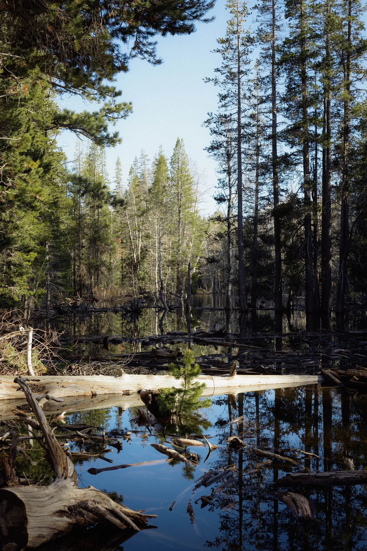 Landscape photograph 09 — Thomas Beach