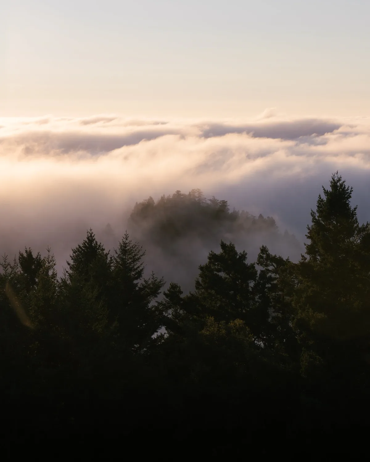 Landscape photograph 18 — Thomas Beach