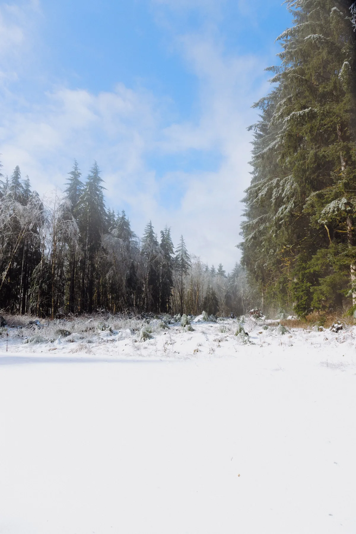 Landscape photograph 29 — Thomas Beach
