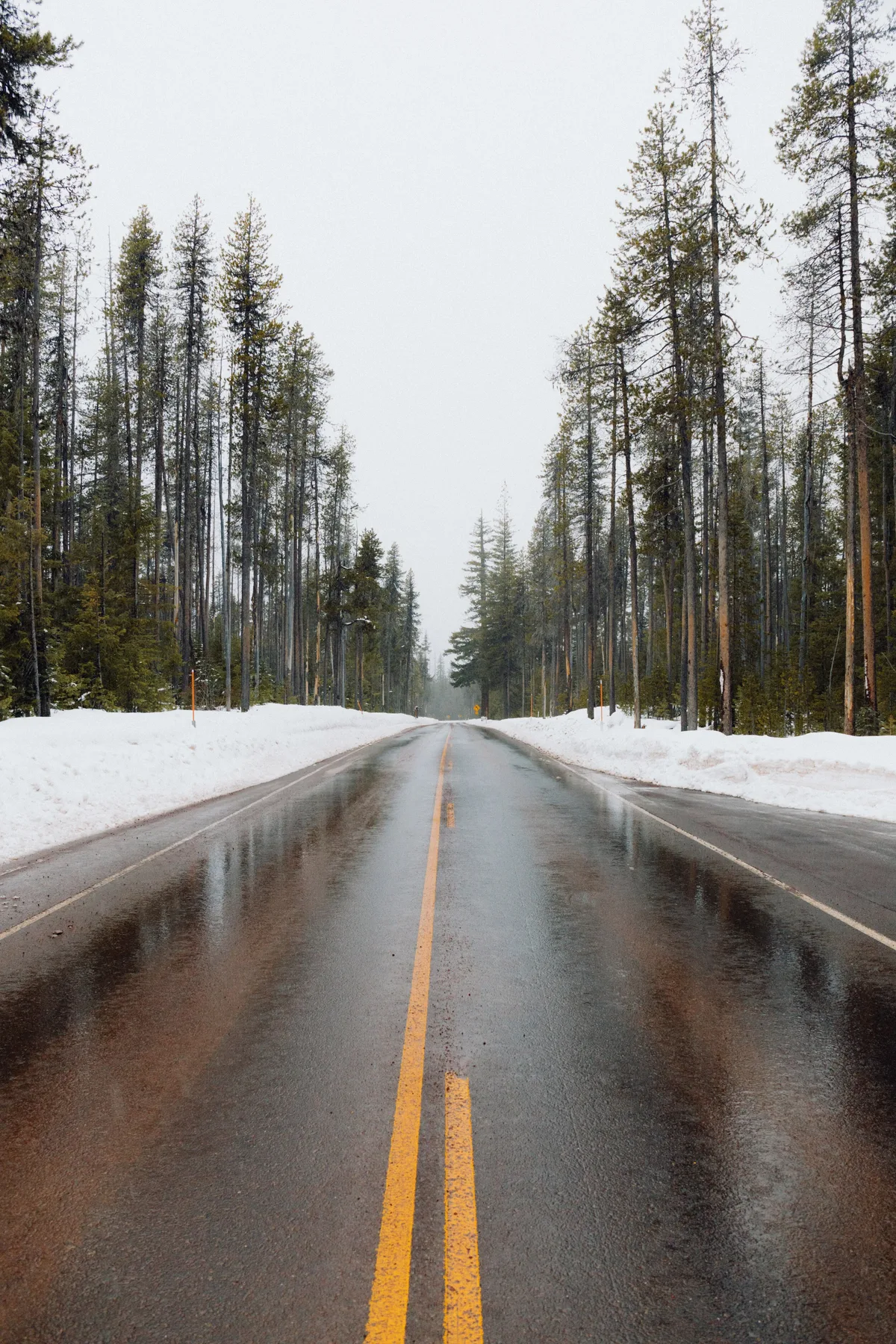 Landscape photograph 32 — Thomas Beach