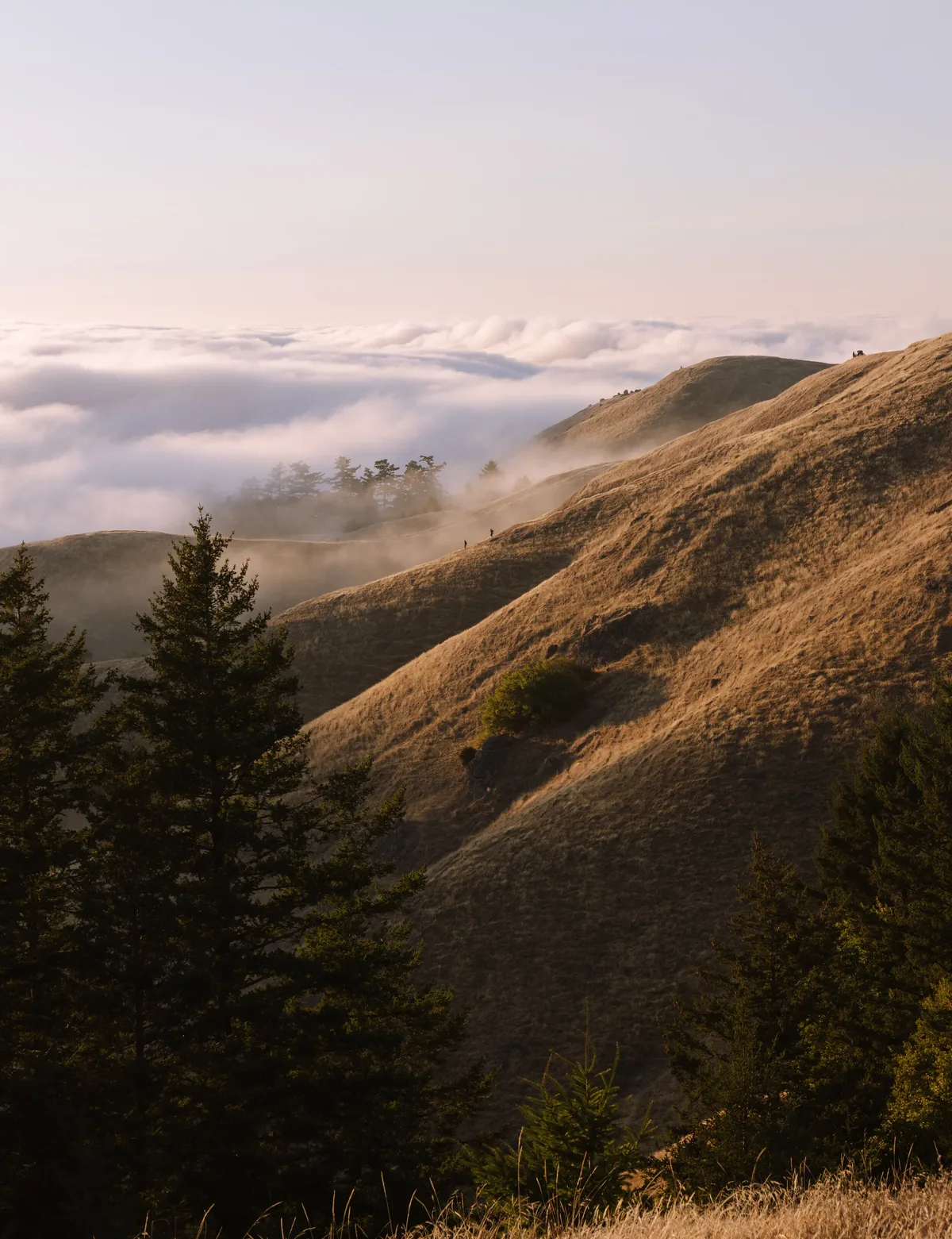 Landscape photograph 55 — Thomas Beach