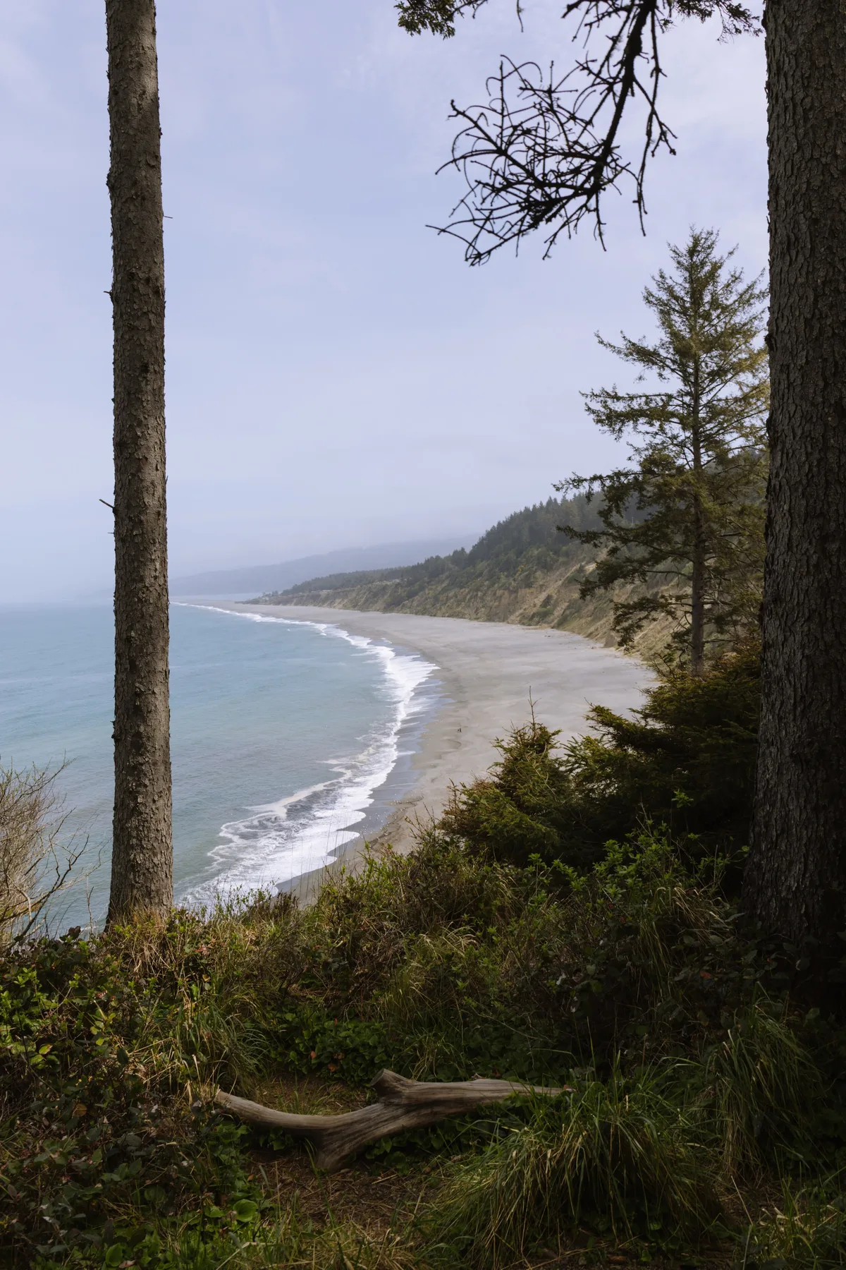 Landscape photograph 58 — Thomas Beach