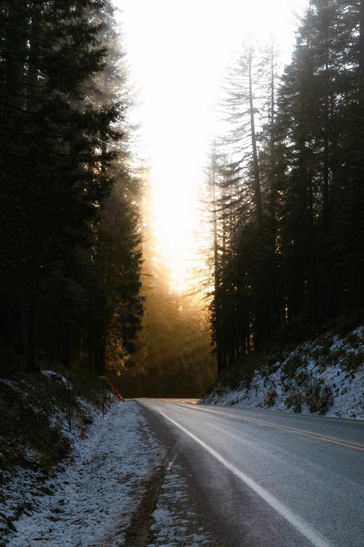Landscape photograph 60 — Thomas Beach