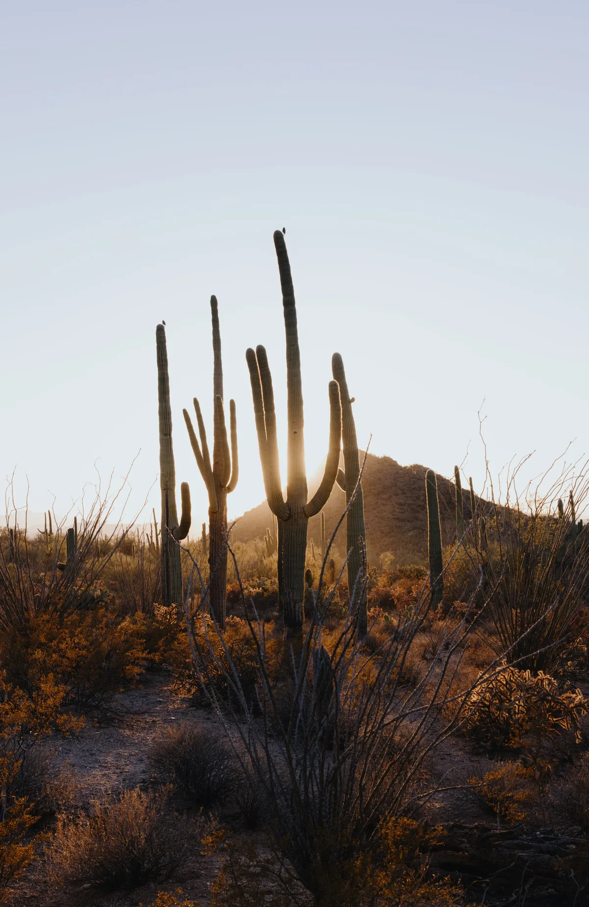 Landscape photograph 72 — Thomas Beach